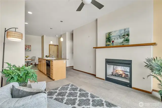 Gas fireplace