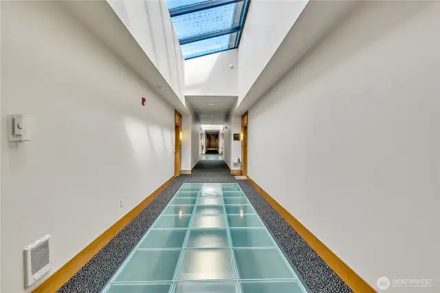 Expansive hallway leading to unit with skylights.