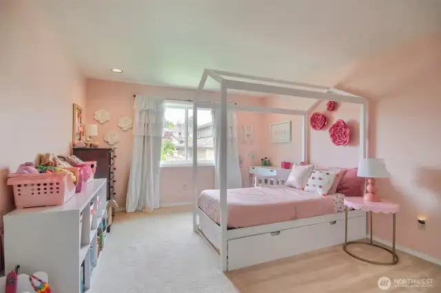 Big bedroom upstairs with tons of space and two walk in closets.