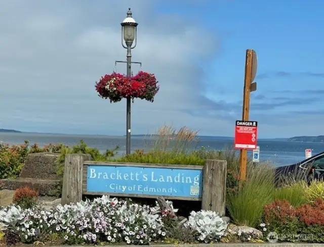 You could walk here - Daily