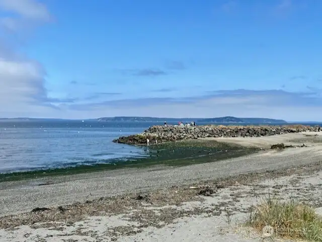 Paradise with an Ocean View