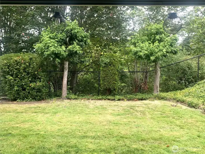 Grass area directly off of the private patio.