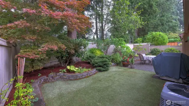 The backyard grass is synthetic and a great way to keep the backyard green all year around.