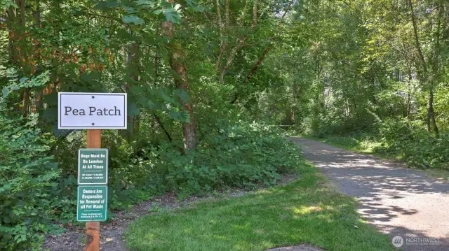 Over 300 Acres of Open Space plus a Pea Patch.