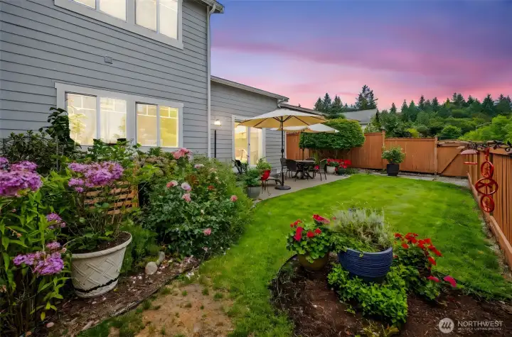 The lush greenery of the backyard at twilight.