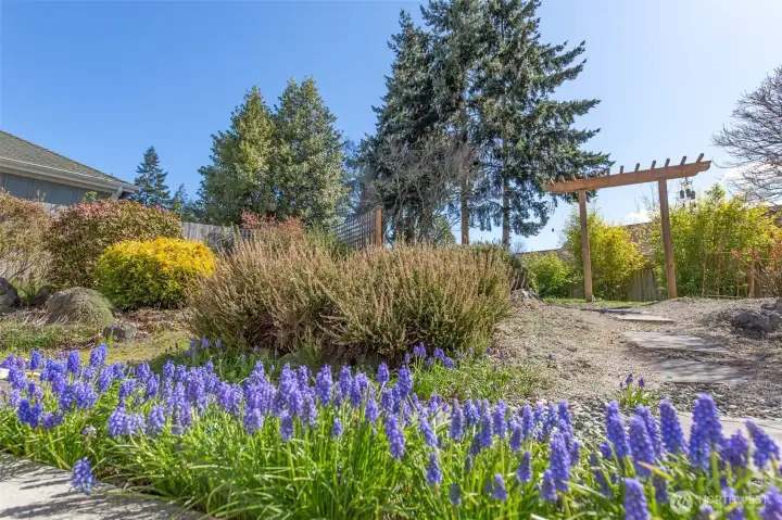 Private back yard