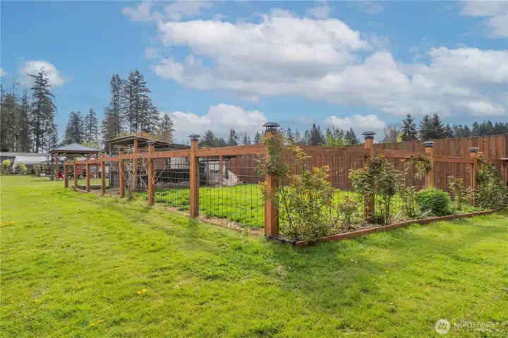 Fully fenced dog run