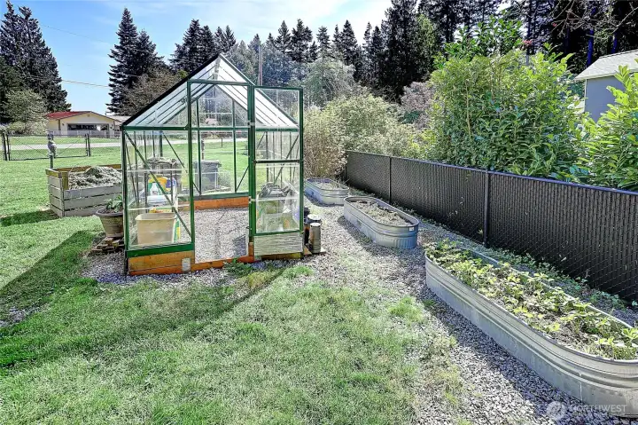 New 6x8 greenhouse