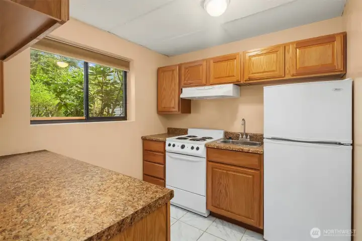 basement MIL kitchen