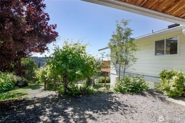 Enjoy garden space and lots of perennials