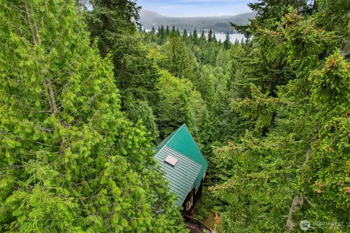 Enjoy a private wooded setting with seasonal Lake Whatcom views, offering a unique balance of seclusion and convenient access to community amenities.