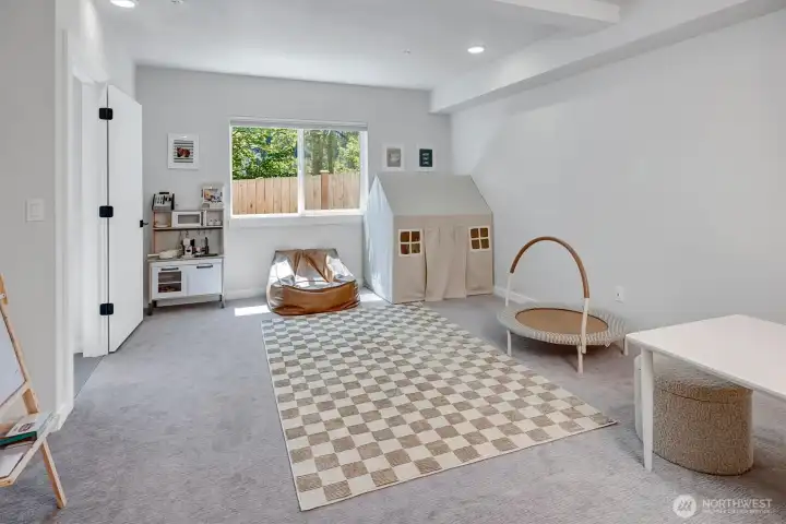 Lower level flex space or 4th bedroom suite