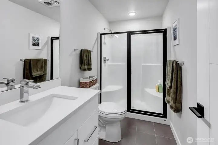 Lower level bathroom