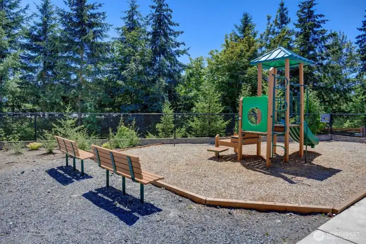 Community playground