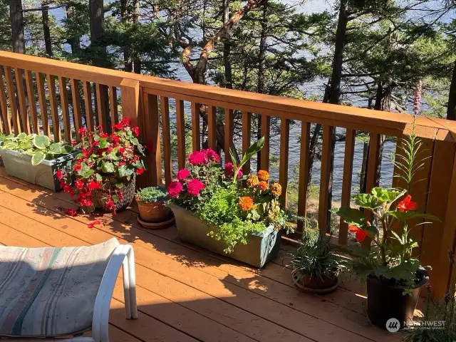 Deck located (off great room) perched just above the shoreline