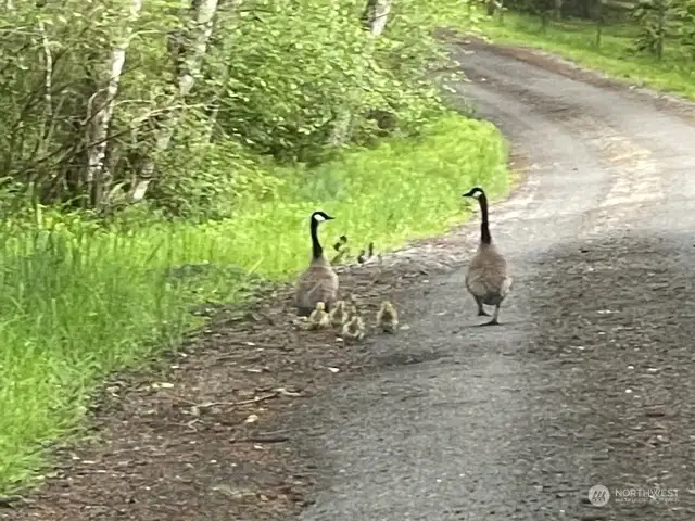 Local family turning in for the day