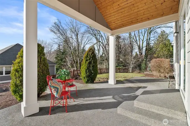 Back patio and yard space.