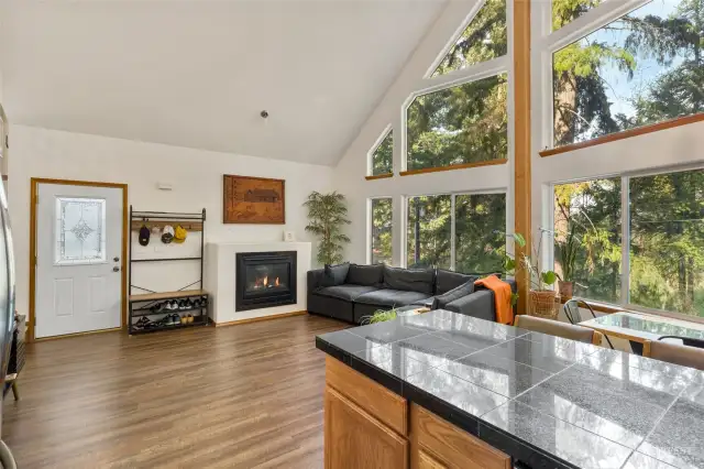 From the kitchen you really will not miss anything, as the main floor of this house is laid out to be inclusive of all areas, a true open concept.