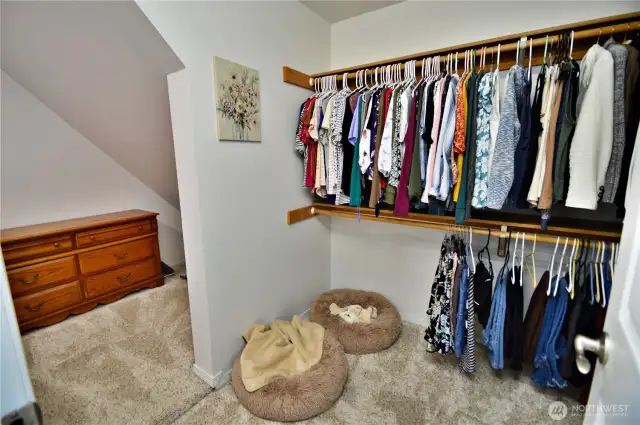 Primary Closet