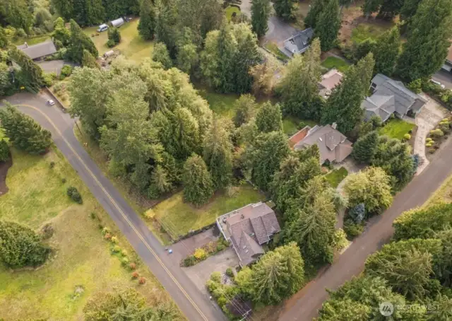 Arial View