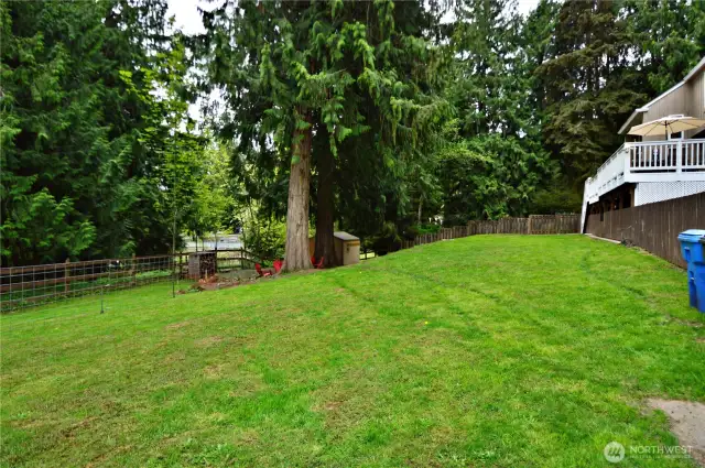 Fenced Back Yard