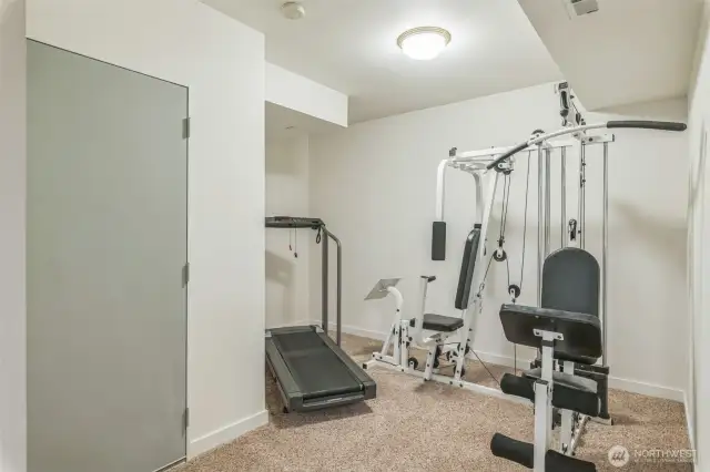 Also on the lower level is this additional room.  Ideal for storage or exercise equipment.  Door leads to utilities room.