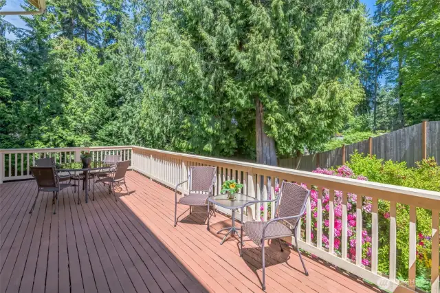 Off the kitchen and living room is this large deck, overlooking the beautiful backyard.  No new home has gorgeous trees and mature landscaping like this home!