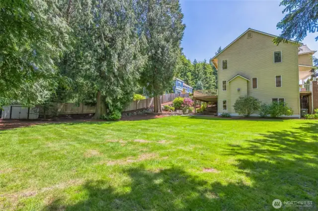 Now that's a real yard!