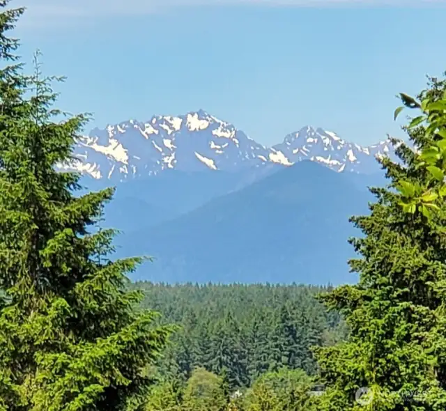 With an elevated 1 or 2 story home over a daylight basement, this could be the potential view from the deck. Photo taken recently at the property from the height of 2nd story deck.