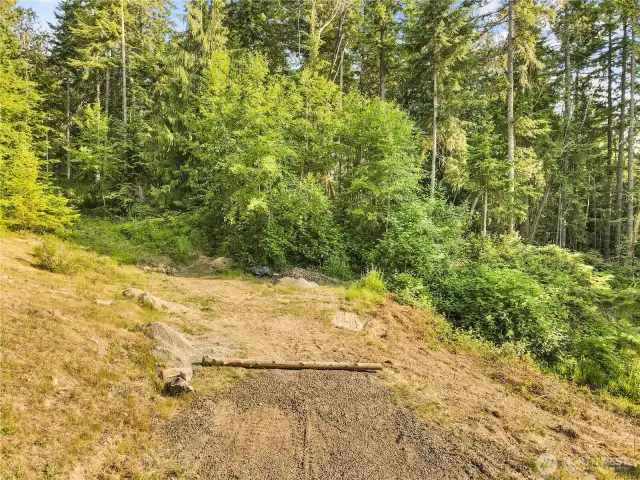 Property feels private and secluded.