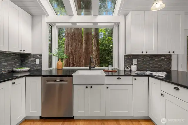 Views of nature while washing dishes!