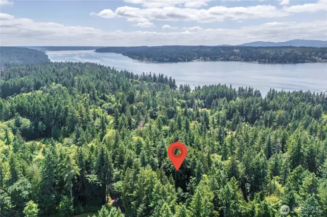 Close to Battle Point Park and the Grand Forest.