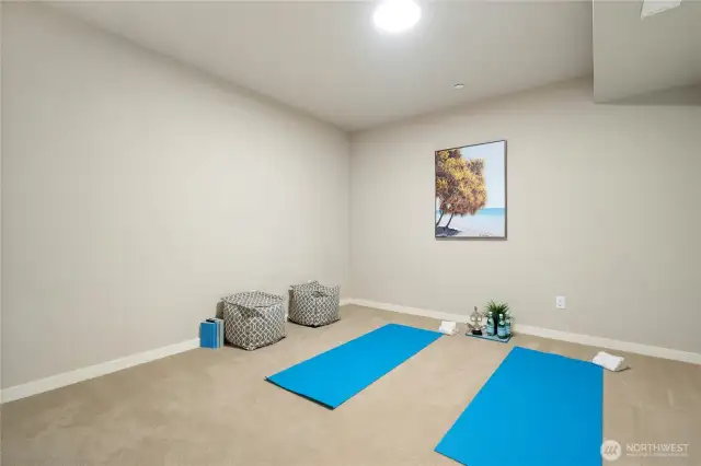 Yoga/Meditation/Hobby room