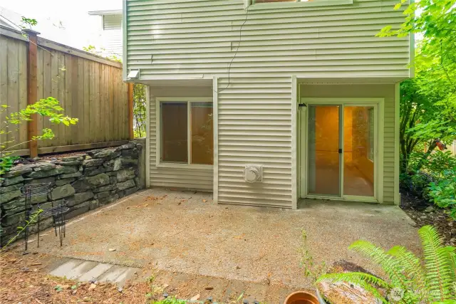 Back patio with no maintenance landscaping