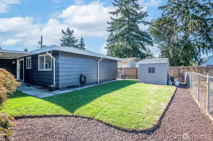 Freshly planted lawn (NEW Sod), in backyard.