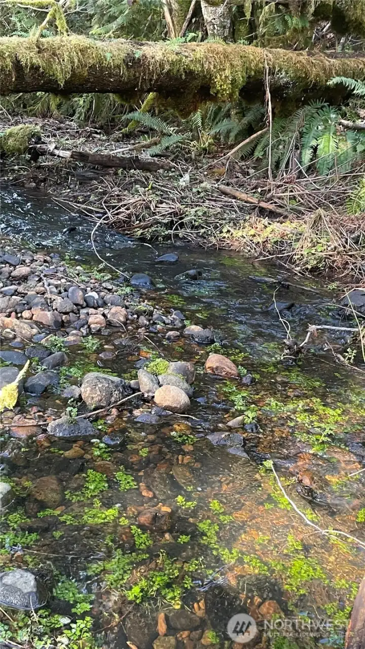 peaceful stream is also the property border