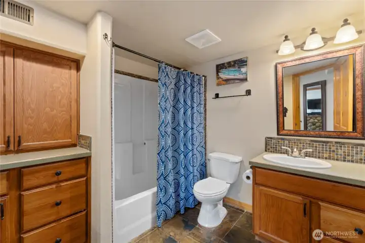 Lower level guest bathroom.