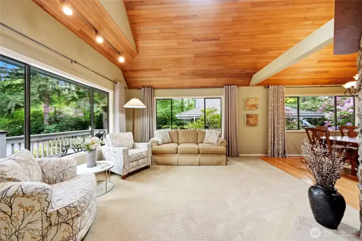 Soaring ceilings, dramatic two-story fireplace, and abundant natural light from all of the big windows and skylights.