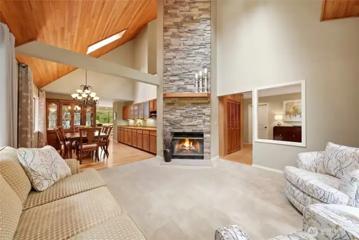 Natural gas fireplace.