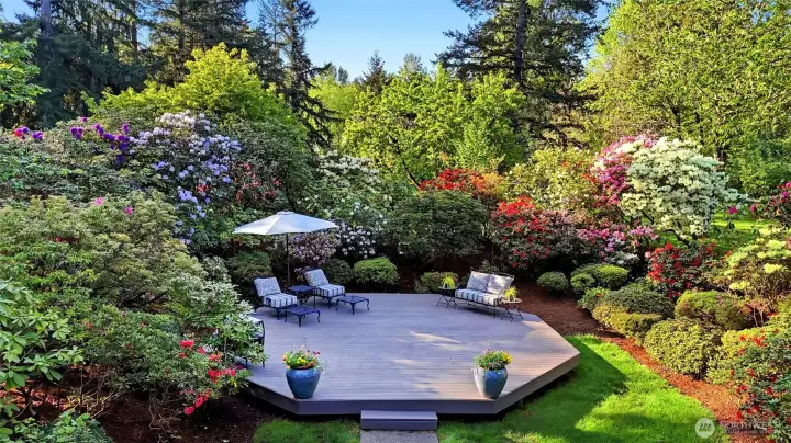 The octagon deck sits in the midst of a beautiful, mature garden.