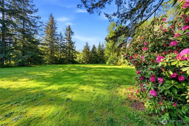 5.17 pristine acres! This view is of the back of the property.