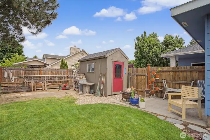 Shed in back yard