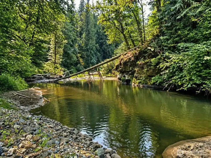 This would make a great fishing hole!