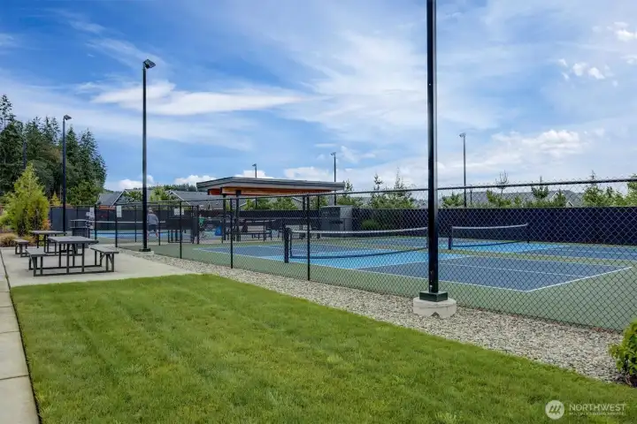 ~6 pickleball courts
