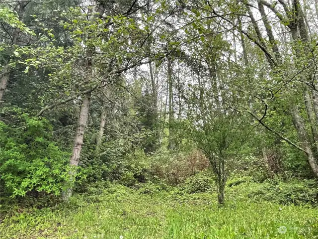 Almost 10 acres waiting for you to build your dream home or possibly sub-divide it ( 4 lots)
