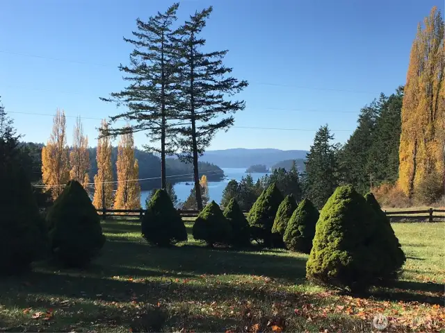 The unique and manicured landscaping bring elegance to the property.