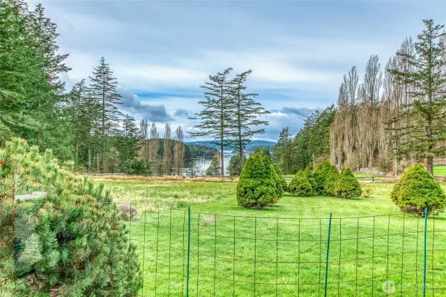 Views to the west overlooking the property.