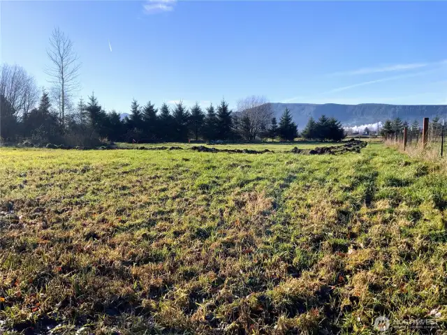 On property looking south along the fence line