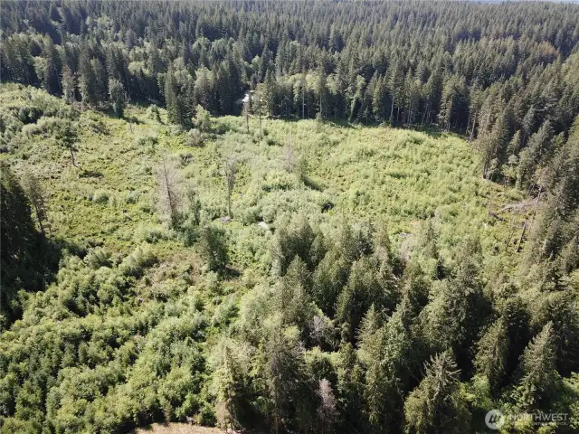 Another 15 acres available  - inquire with listing agent.  Property backs up to DNR land