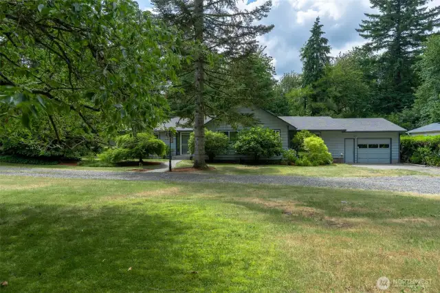 Wonderful corner lot!